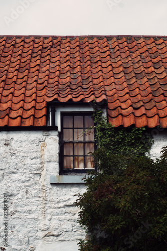 Roof tiles of an old house with a window and a plant  Scotland  United Kingdom