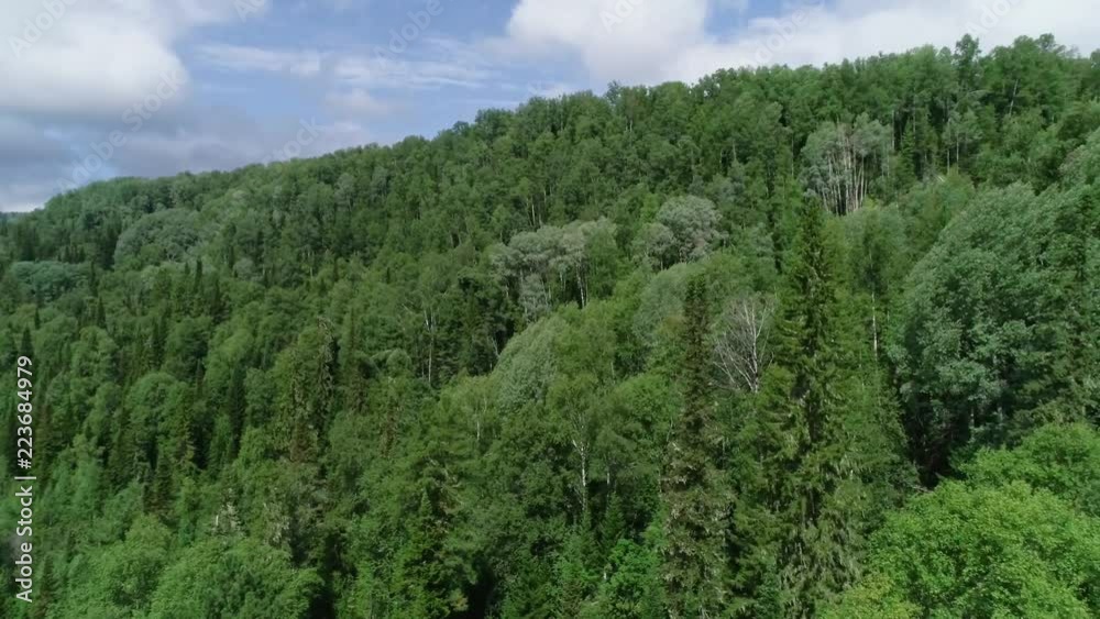 A view from above of wildlife. Panoramic view of the forest thicket in the summer. Panoramic aerial view. A view from above of wildlife. Panoramic view of the forest thicket in the summer. Panoramic aerial view.