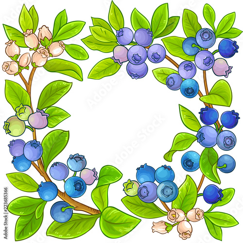 blueberry vector frame