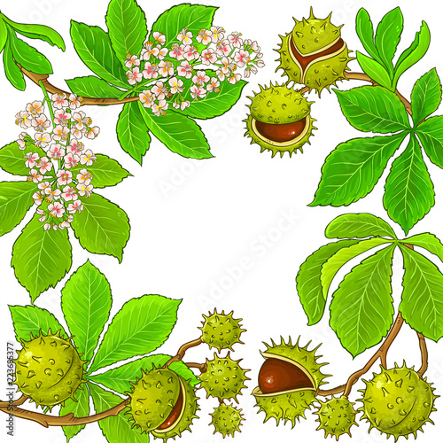 chestnut vector frame