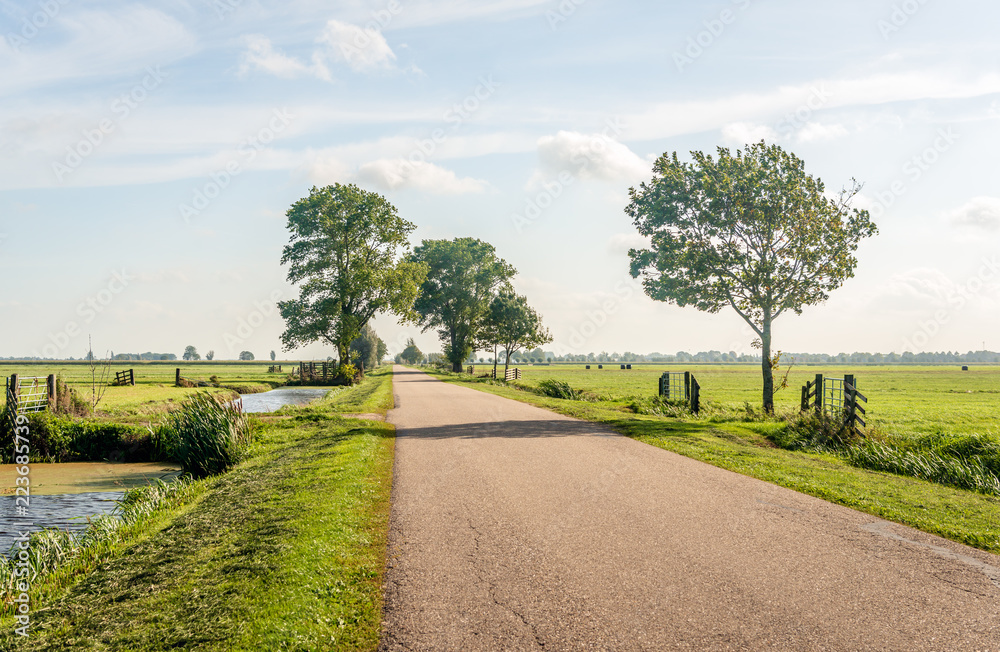 Typical Dutch polder landscape in the Dutch region Alblasserwaard
