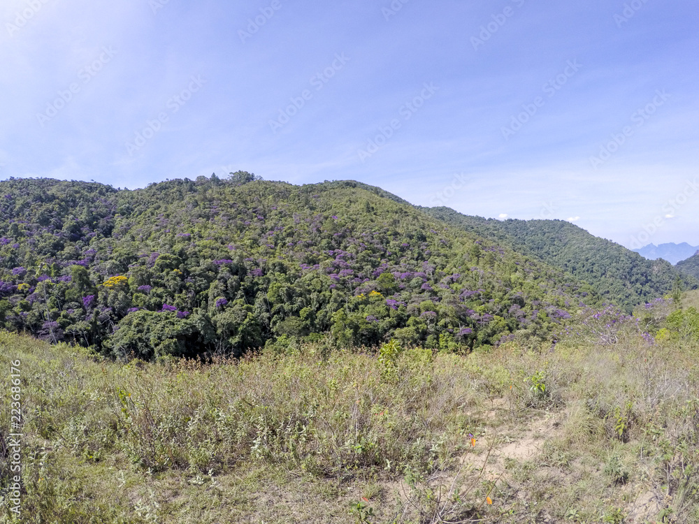 visual of the trail between the neighborhoods of jacarepaguá and campo grande in rio de janeiro visual of the trail between the neighborhoods of jacarepaguá and campo grande in rio de janeiro