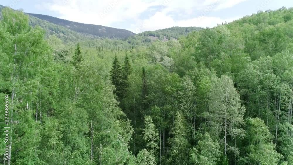 Waterfall in the forest Panoramic aerial view. Summer weather, taiga nature, Russia, Siberia. Waterfall in the forest Panoramic aerial view. Summer weather, taiga nature, Russia, Siberia.