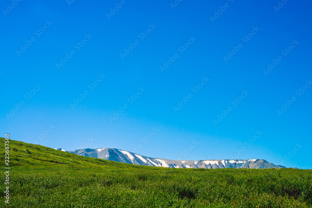 Fototapeta premium Giant mountains with snow behind green meadow with rich vegetation of highlands on hill under clear blue sky. Amazing sunny mountain landscape of majestic nature.