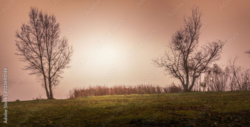 sunset over a field