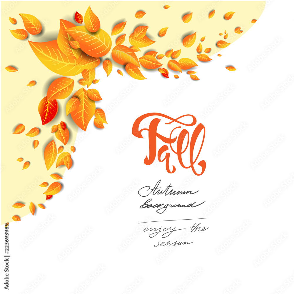 Bright leaves background Bright leaves background