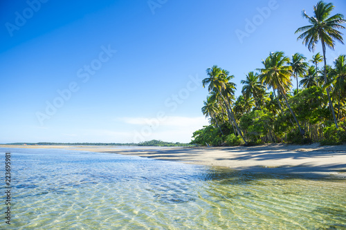 Remote Brazilian beach with shadows of palm trees falling on the shore in Bahia  Brazil
