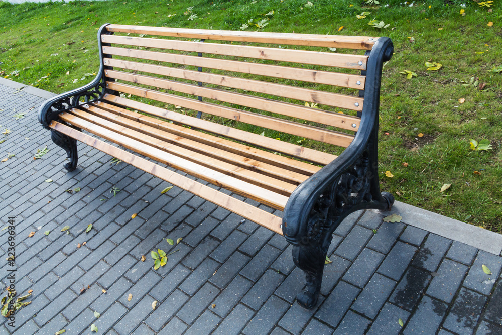Bench in the city Park. Autumn day. Grass and fallen leaves. Paving slab