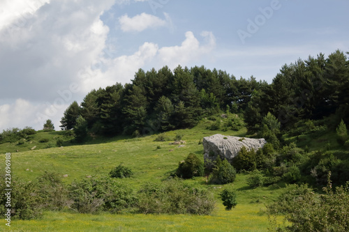 A meadow and a big rock with a blue and cloudy sky along the green path to the Piedrafita de Jaca lake in the aragonese Pyrenees mountains © Isacco