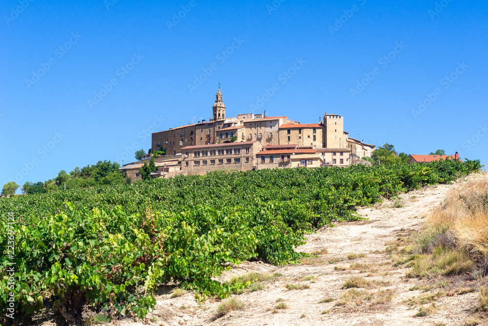 Vineyard with Labraza town as background, Rioja Alavesa, Spain
