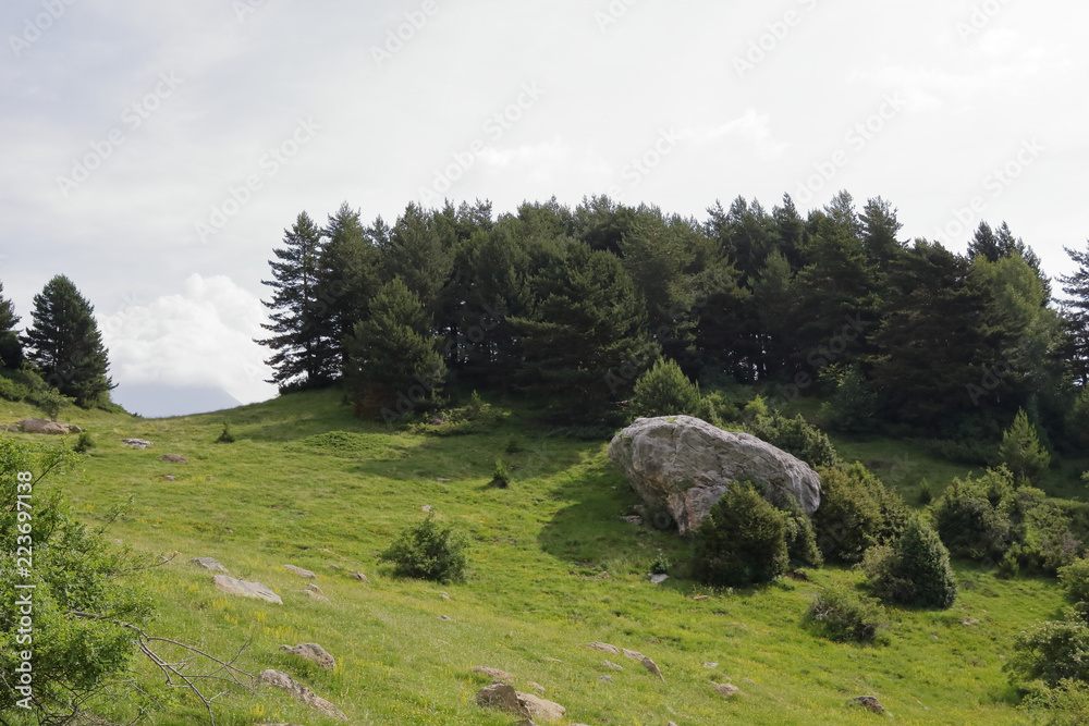 A meadow and a big rock with a blue and cloudy sky along the green path to the Piedrafita de Jaca lake in the aragonese Pyrenees mountains