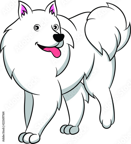 Cute American Eskimo Cartoon Dog. Vector illustration of an american eskimo dog breed.