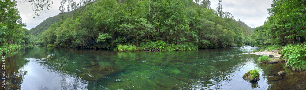 A landscape of the clear waters of the Eume river in a green dense thick forest, on the way to the Caaveiro Monastery, in Galicia, Spain