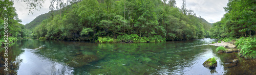 A landscape of the clear waters of the Eume river in a green dense thick forest  on the way to the Caaveiro Monastery  in Galicia  Spain