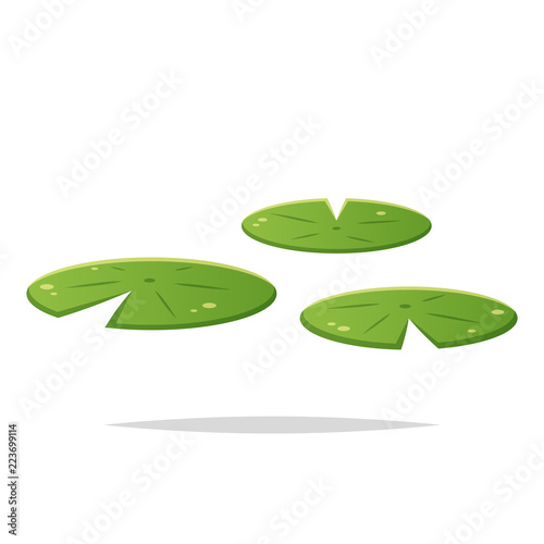 Water lily pad vector isolated Fototapet
