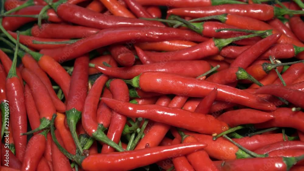 Many Red Chili Peppers Rotating Many Red Chili Peppers Rotating
