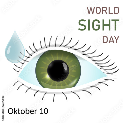 World sight day concept background. Flat illustration of world sight day vector concept background. The image of an eye.