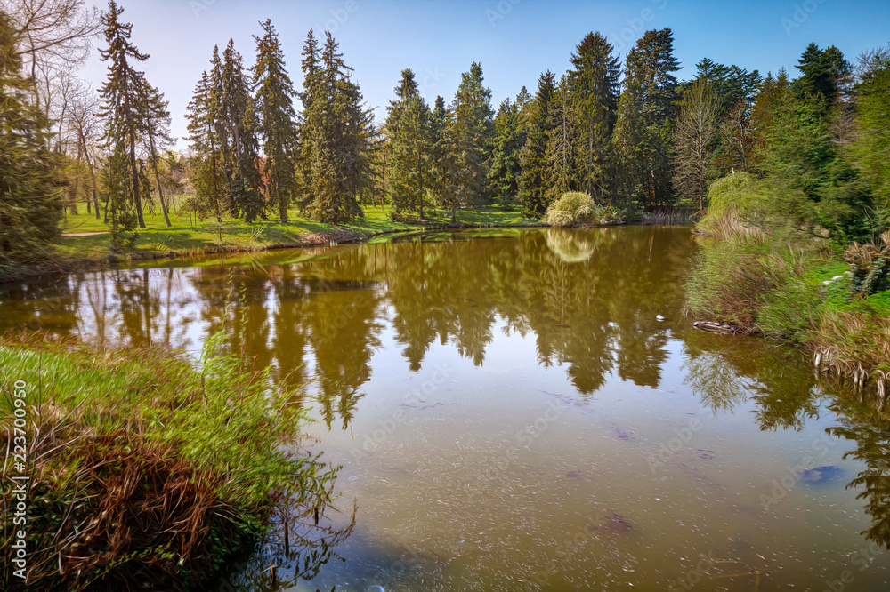 mirroring conifers in a river mirroring conifers in a river