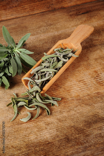 Fotografia dried and fresh sage in wooden shovel over wooden background