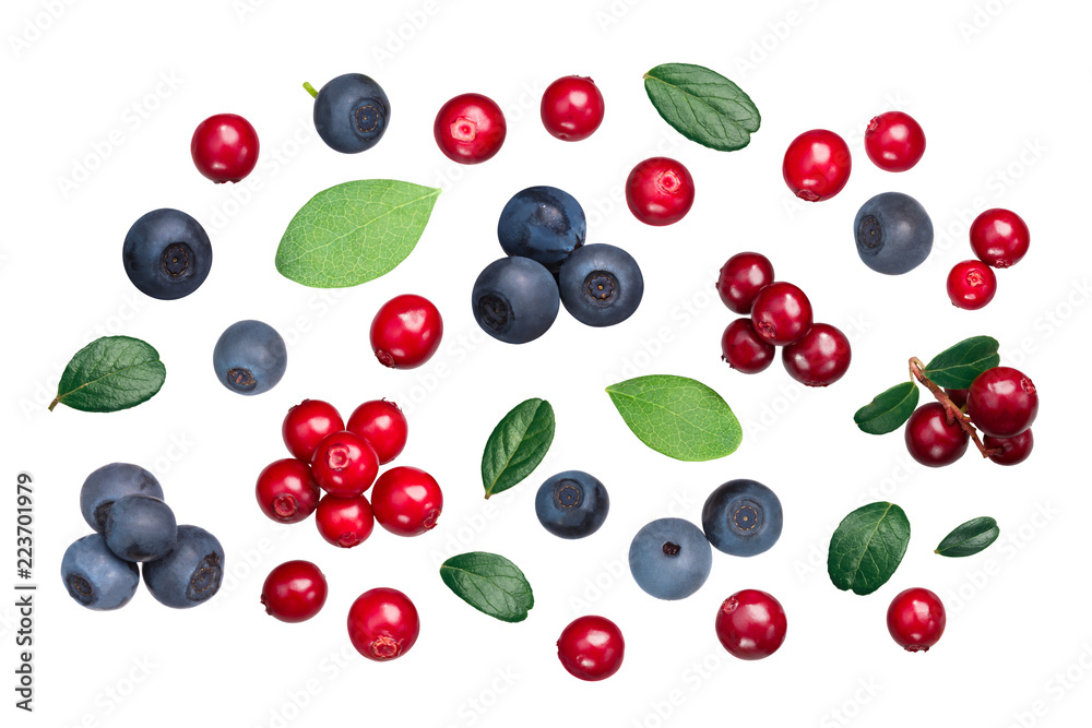 Lingonberry bilberry v. vitis-idaea myrtillus, top Lingonberry bilberry v. vitis-idaea myrtillus, top