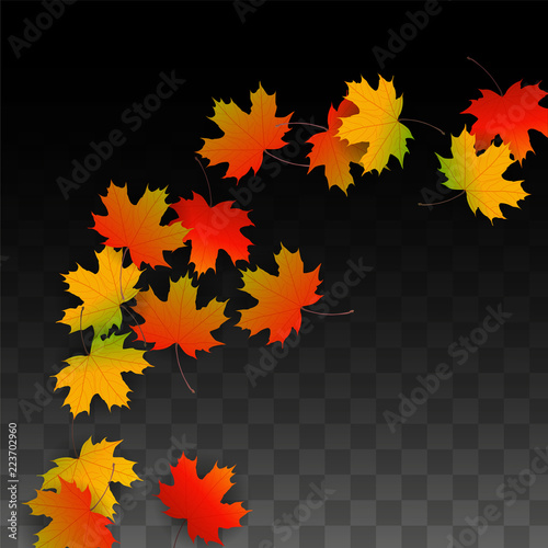 September Vector Background with Golden Falling Leaves. Autumn Illustration with Maple Red, Orange, Yellow Foliage. Isolated Leaf on Transparent Background. Bright Swirl. Suitable for Posters.