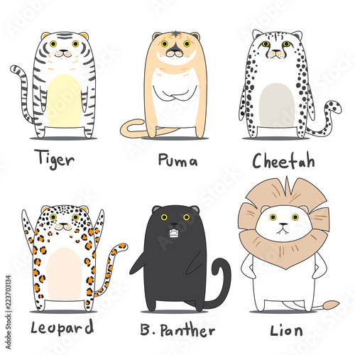 Fototapeta Naklejka Na Ścianę i Meble -  tiger character set