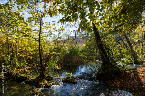 Lush Forest and Water Flowing Plitvice Lakes National Park Croatia