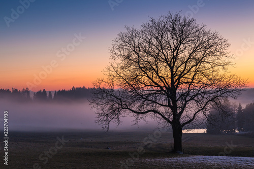 Φωτογραφία sunset landscape with tree and lake in Upper Austria in winter