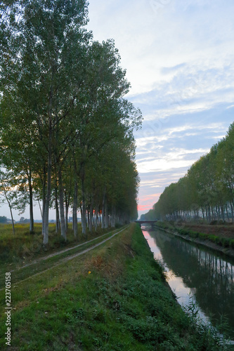 A landscape of the artificial Cavour canal surrounded by high green poplar trees lined up along its shores and reflecting into the water, during a cloudy sunset in autumn