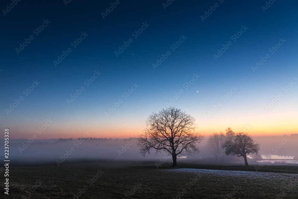 sunset landscape with tree and lake in Upper Austria in winter sunset landscape with tree and lake in Upper Austria in winter