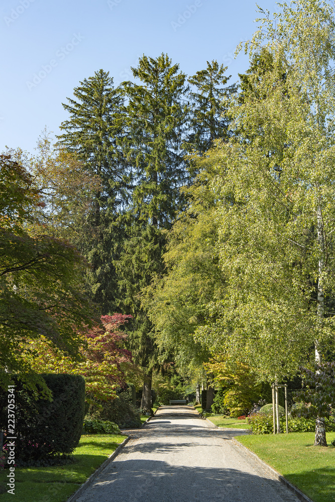 Eingangsweg zum Friedhof Fluntern, Zürich, Schweiz Eingangsweg zum Friedhof Fluntern, Zürich, Schweiz