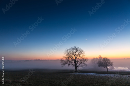 sunset landscape with tree and lake in Upper Austria in winter