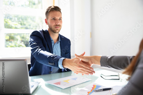 Businessman Shaking Hands With His Partner