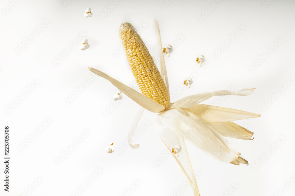 kolba kukurydzy na białym tle - obrazy, fototapety, plakaty 
