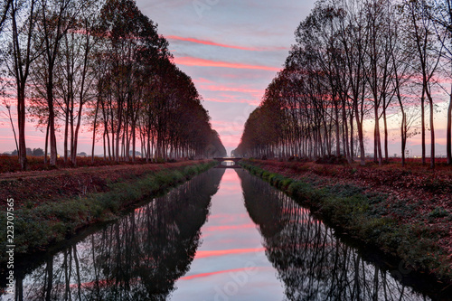 A landscape of the artificial Cavour canal surrounded by high naked poplar trees lined up along its shores and reflecting into the water, during a cloudy sunset in winter