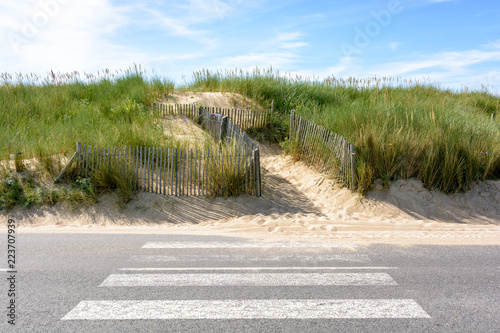 Fototapeta Naklejka Na Ścianę i Meble -  A pathway delimited by a wooden fence on the sand dune covered with wild grasses, leading to the du Guesclin beach on the Breton seashore with a pedestrian crossing on the road in the foreground.