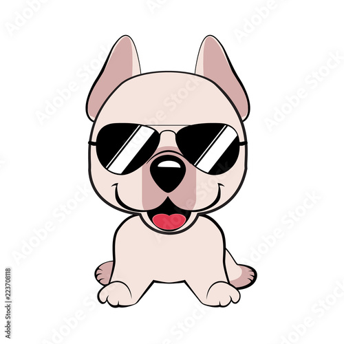 Isolated colorful head and face of happy labrador retriever on white background. Color flat cartoon breed dog portrait