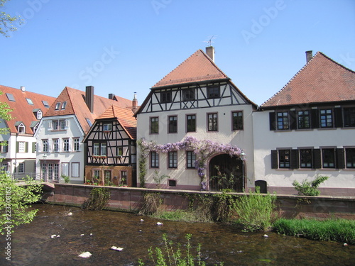 Altstadt Ettlingen Fluss und Blauregen