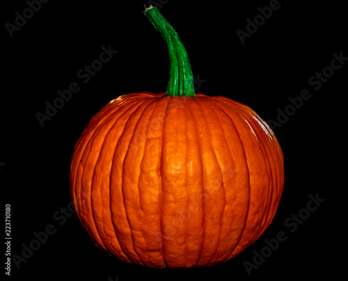A perfect pumpkin with a round shape and green stem on a black background.