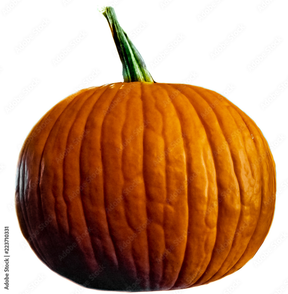 A perfect pumpkin with a round shape and green stem on a white background.
