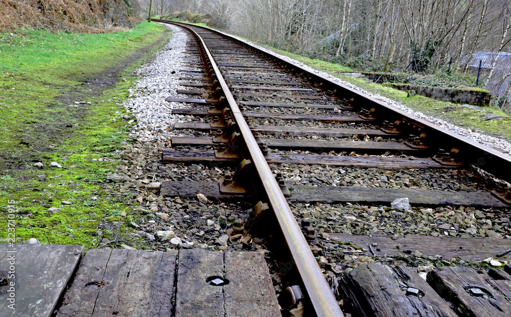 Fototapeta premium Train Track