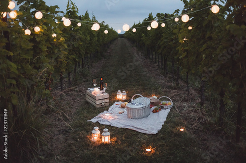 Food and lights arranged in vineyard for picnic at dusk photo