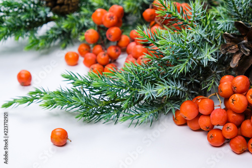 Rowanberry, Red Berries, Spruce Branches. Christmas and New Year's Decor. Bright Natural Holiday Composition White Background Copy Space Concept Of Winter Time