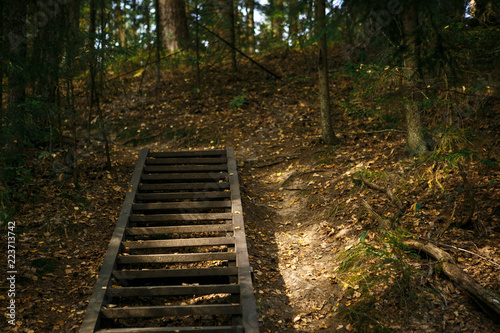 A wooden staircase in the autumn forest of the Chertovo Settlement reserve in the Kaluga region. The road through the ladder goes into the forest. photo