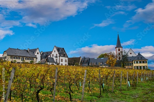 Obraz na płótnie Herbst in den Weinbergen der Hochheimer Hölle, Hochheim am Main, Hessen, Deutschland w salonie