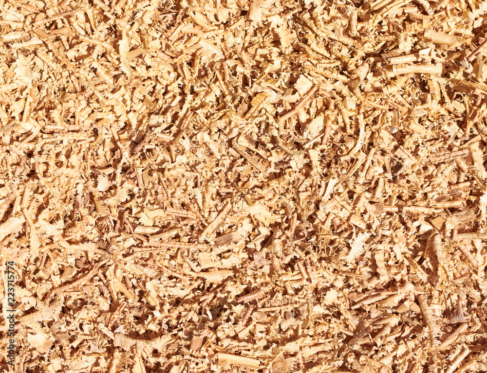 Wooden sawdust background texture Wooden sawdust background texture