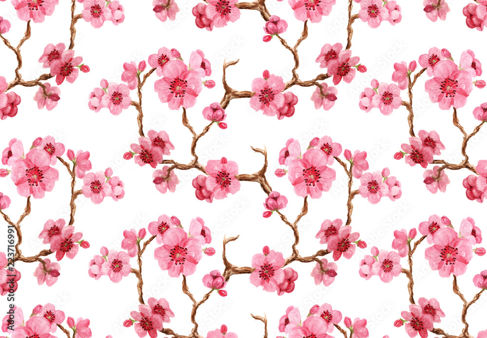 Fototapeta premium Seamles pattern with sakura