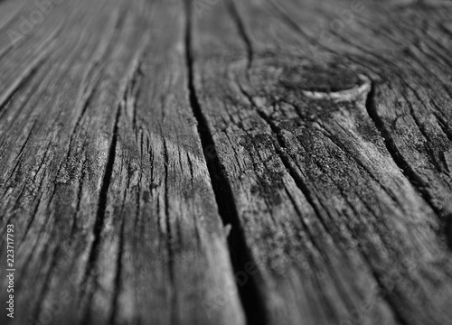 texture of old wood