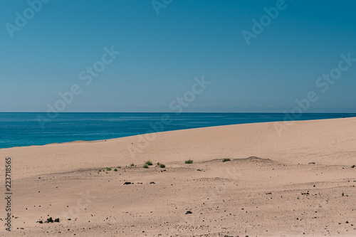 Dunes next to the ocean © Peter Kalmar