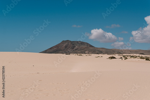 Dunes next to the ocean